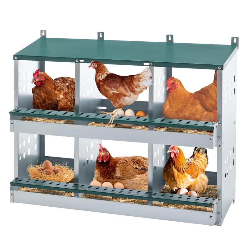 6 Compartments Chicken Nesting Box for Laying Eggs - Green