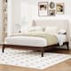 Option Chocolate Wingback