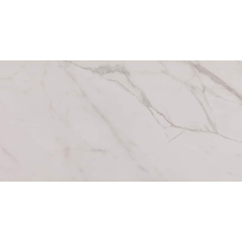 Daltile Core Fundamentals Platinum 12" x 24" Floor Tile (9 PC Per Carton) (17.60 SQFT Per Carton)