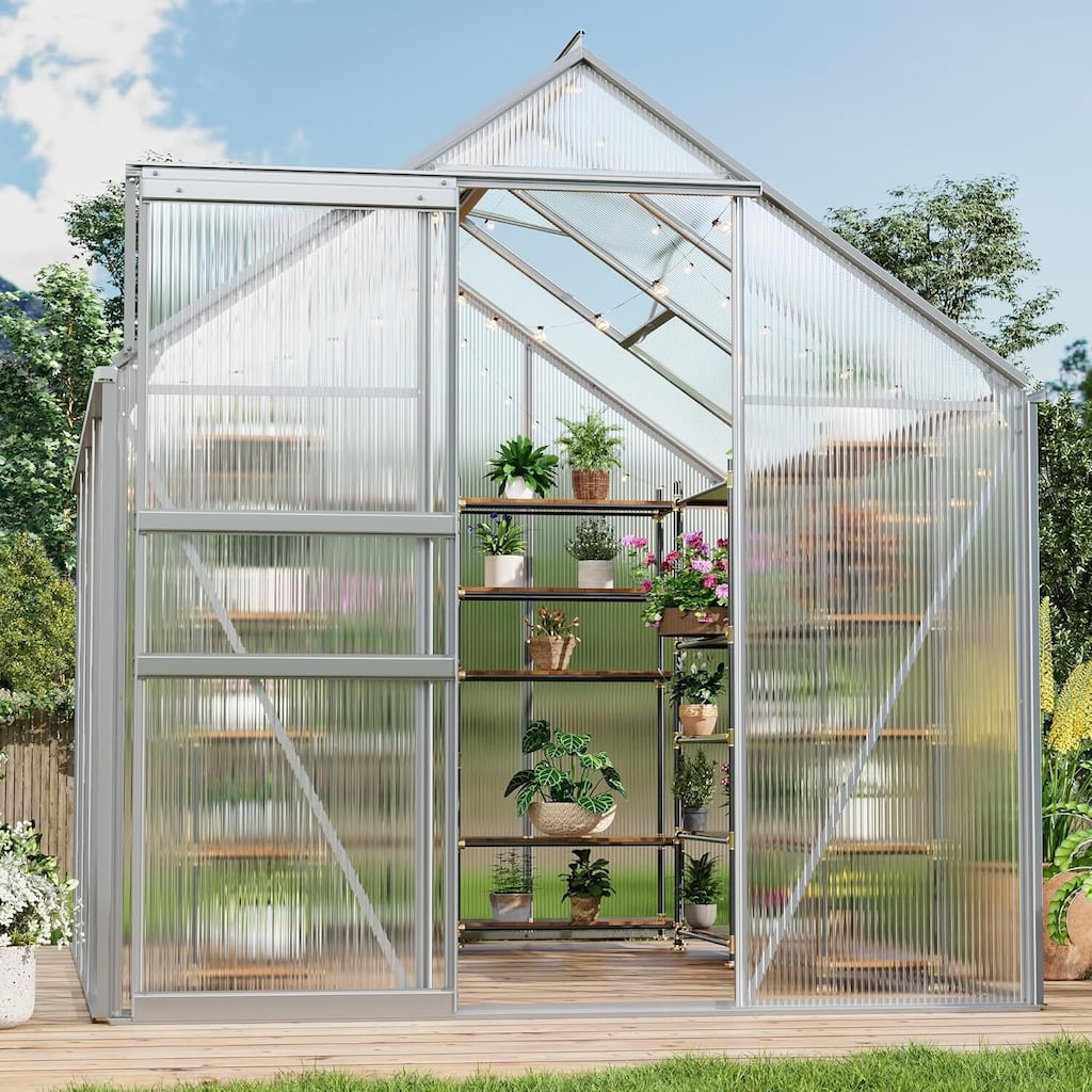 6x8FT Portable Outdoor Walk-in Greenhouse for Winter Gardening, Silver