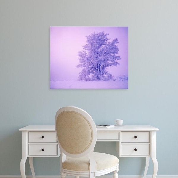 Easy Art Prints Charles Gurche's 'Unknown' Premium Canvas Art