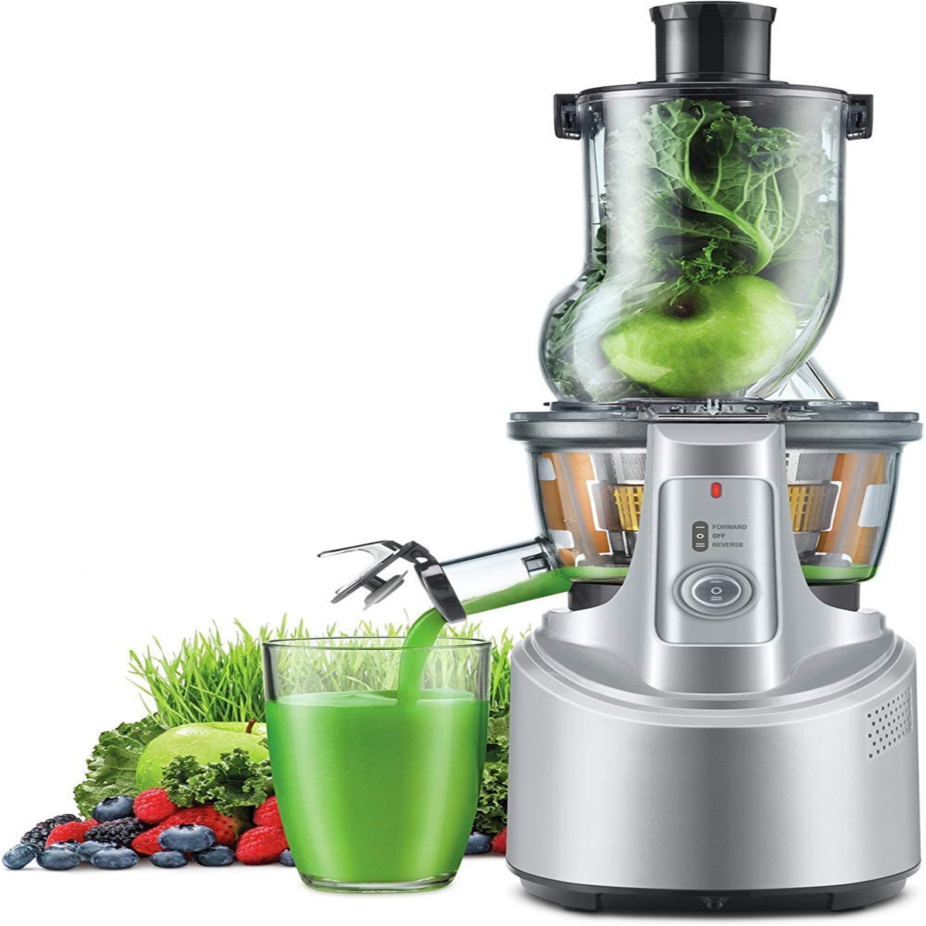 The big squeeze best sale juicer