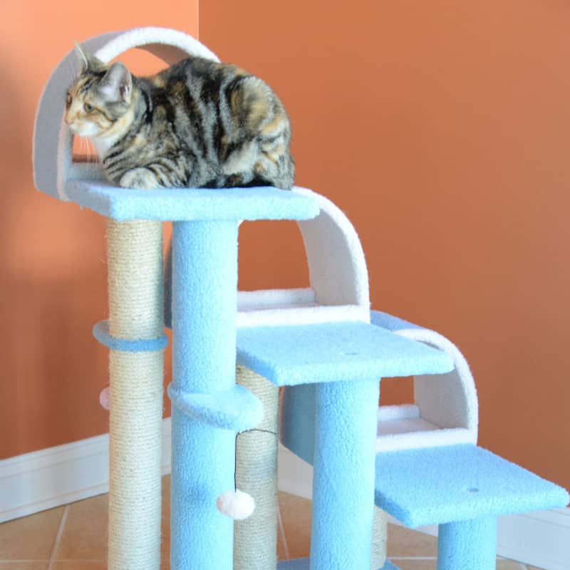 38" High Ivory Real Wood Cat Step Stairs ramp, Cat Sratcher For Pets Cats