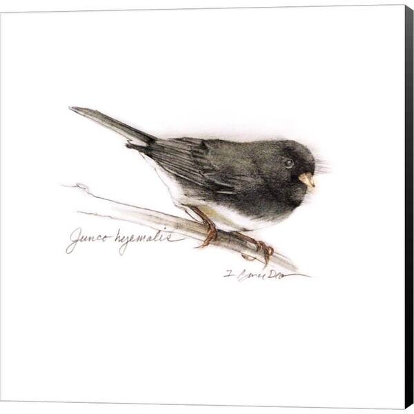 Bruce Dean 'Songbird Study V' Canvas Art - Bed Bath & Beyond - 31595846