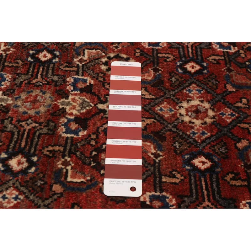 Andelz Red Rug 3'9" x 10'2" - 3'9 x 10'2