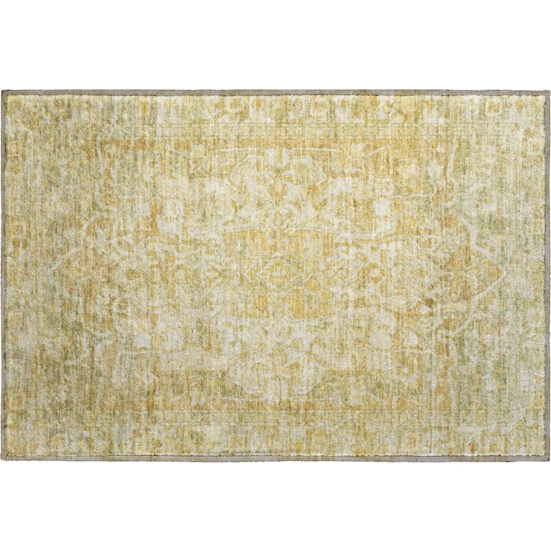 Premium Washable Super Soft Vintage Traditional Mayfield Rug