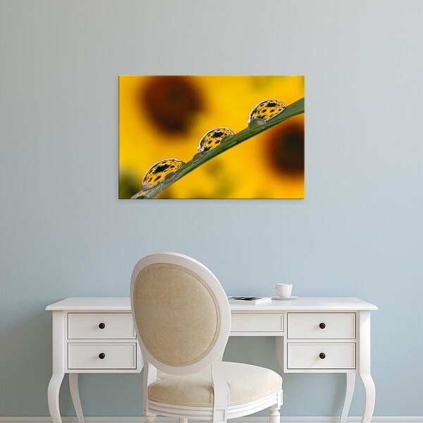 Easy Art Prints Adam Jones's 'Black Eyed Susans Refracted' Premium Canvas Art