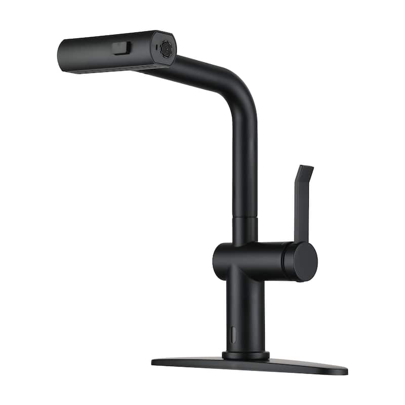 Single Handle Pull Down Sprayer Kitchen Faucet with 3 Functions Spray - Matte Black