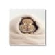 preview thumbnail 1 of 10, Stupell Baby Bunny in Blanket Canvas Wall Art Design by Roozbeh 17 x 17