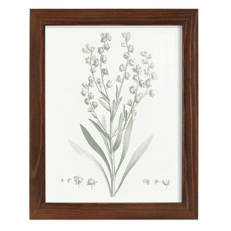 Botanical Study in Sage I -Framed Print w/glass-Cherry Red