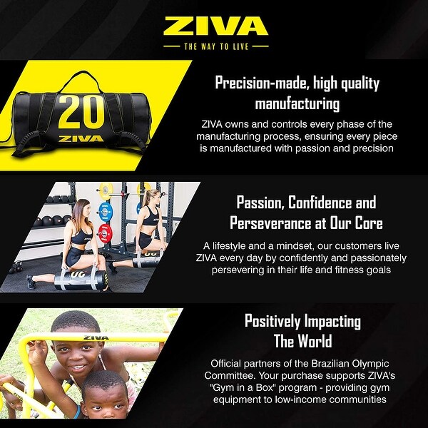 ZIVA 25 Pounds Commercial Grade High Performance Training Power