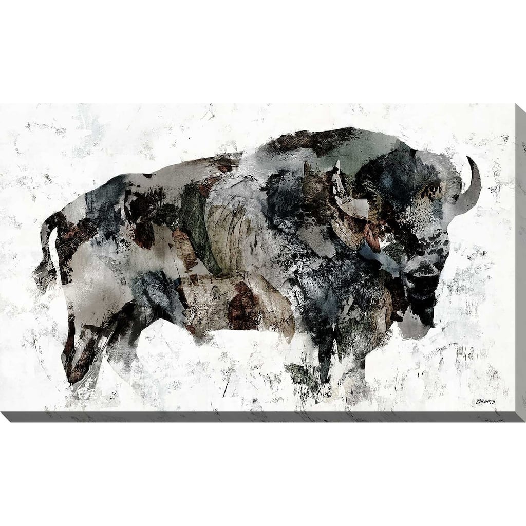 "Wood Bison" by Scott Brems Print on Canvas
