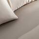 Option Sandstone