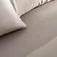 Option Sandstone