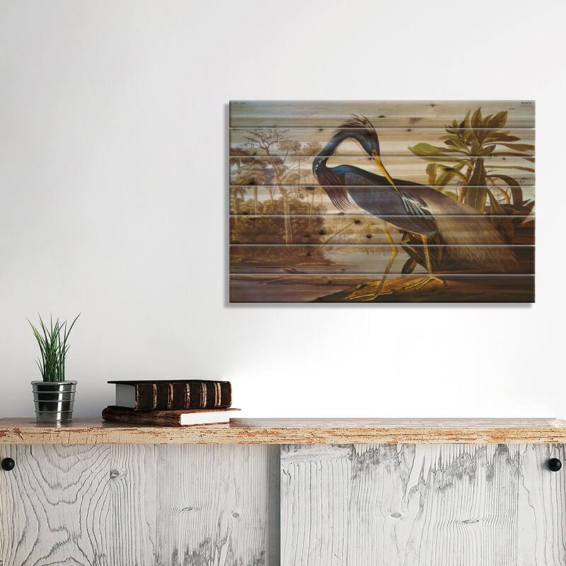 Louisiana Heron From "Birds of America" Print On Wood by John James Audubon - Multi-Color