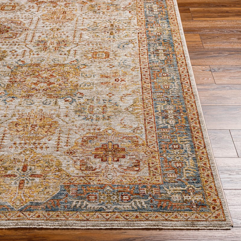 Aiyla Traditional Medallion Area Rug