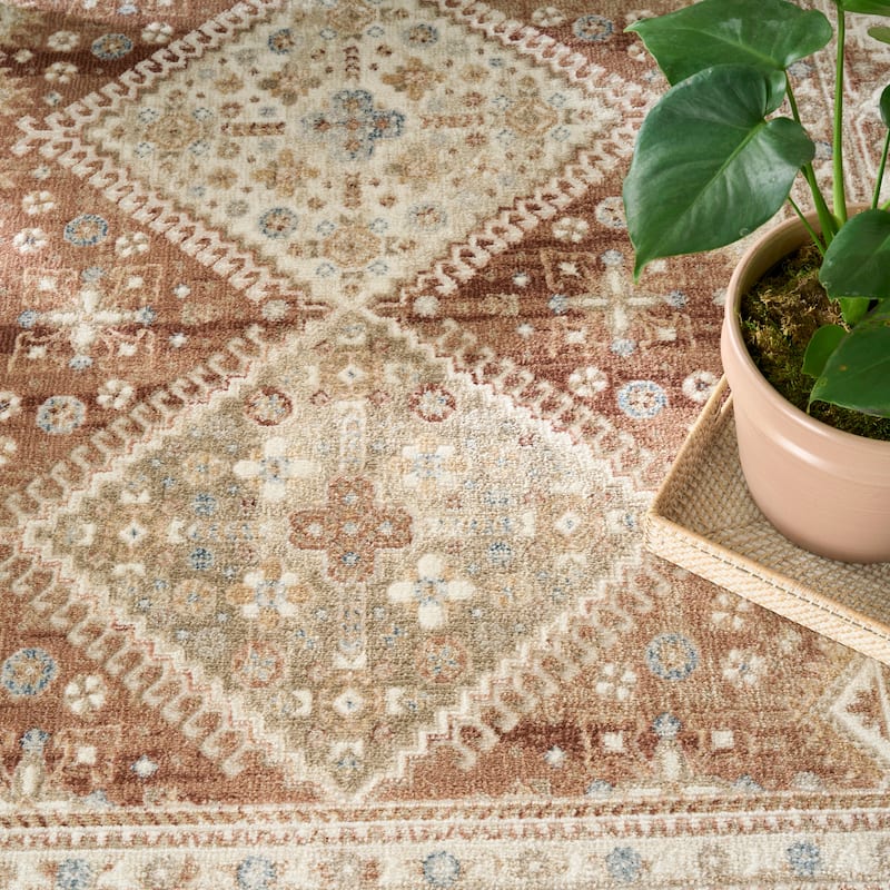 Nourison Pardis Indoor only Brown Persian Area Rug