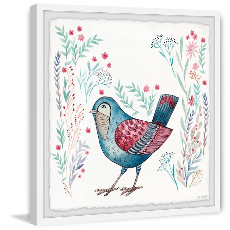 Fine Feathers Framed Print