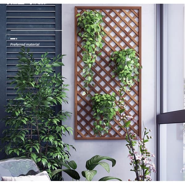 artificial money tree Artificial Chinese Money Tree (Life-Like Plant)
