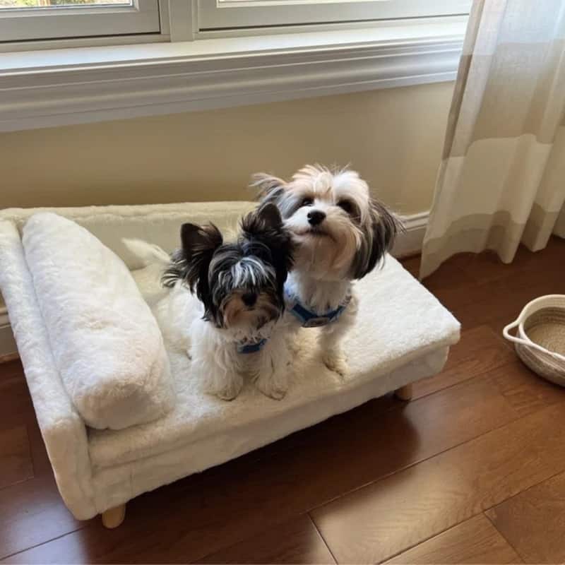 Waterproof L Shape Dog Sofa Bed Cat Chaise Elevated Pet Cushion Lounger with Pillow