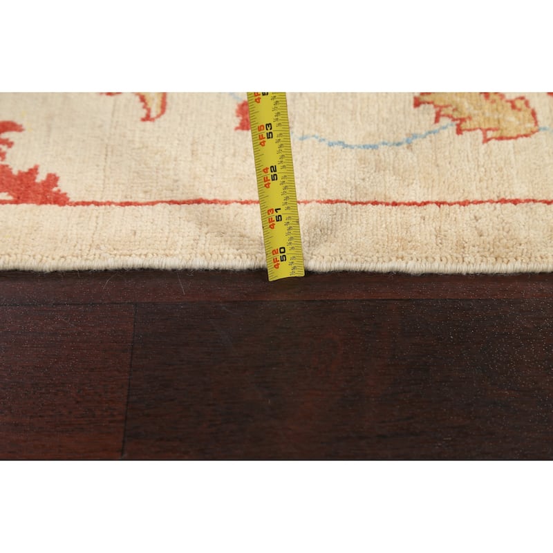 Vegetable Dye Floral Ziegler Area Rug Wool Hand-knotted Foyer Carpet - 3'2" x 4'4"