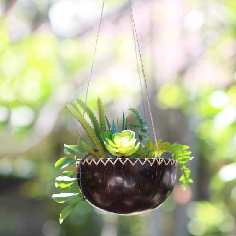 NOVICA Clean Environment, Coconut shell hanging planter