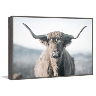 Highland Close-Up Floater Framed Print on Canvas