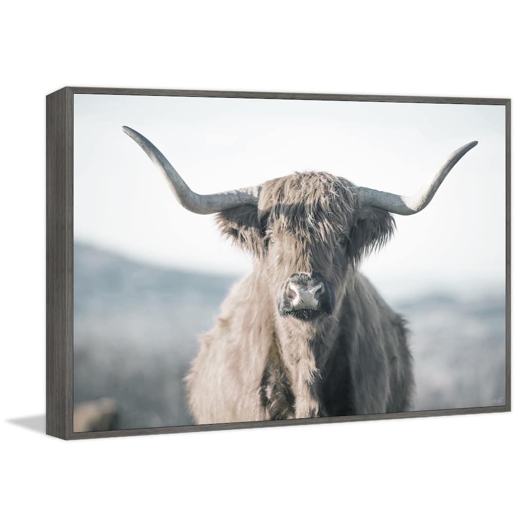 Highland Close-Up Floater Framed Print on Canvas