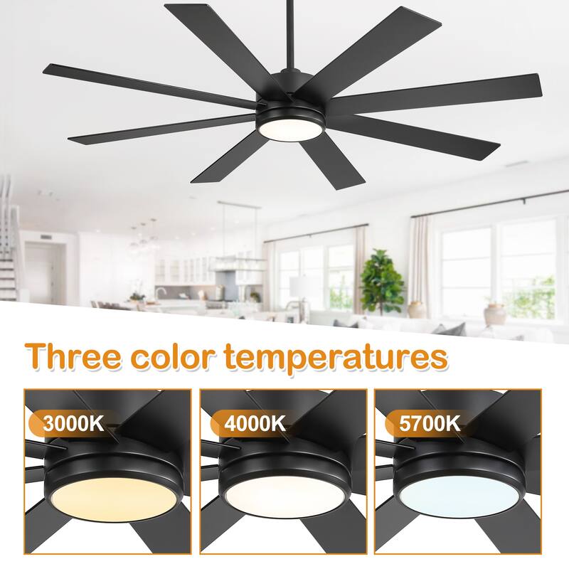 65-inch Black Ceiling Fan with LED Light Remote and Downrod(8-Blade)