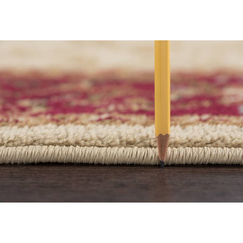 Rhythm Transitional Oriental Indoor Area Rug