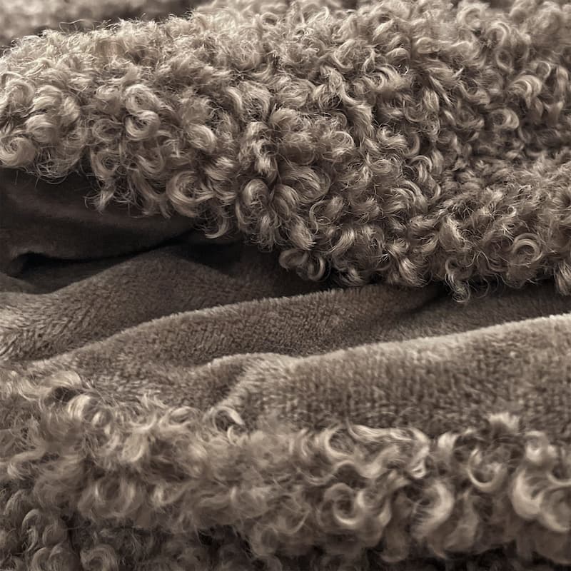 The Mood Teddy Plush Throw