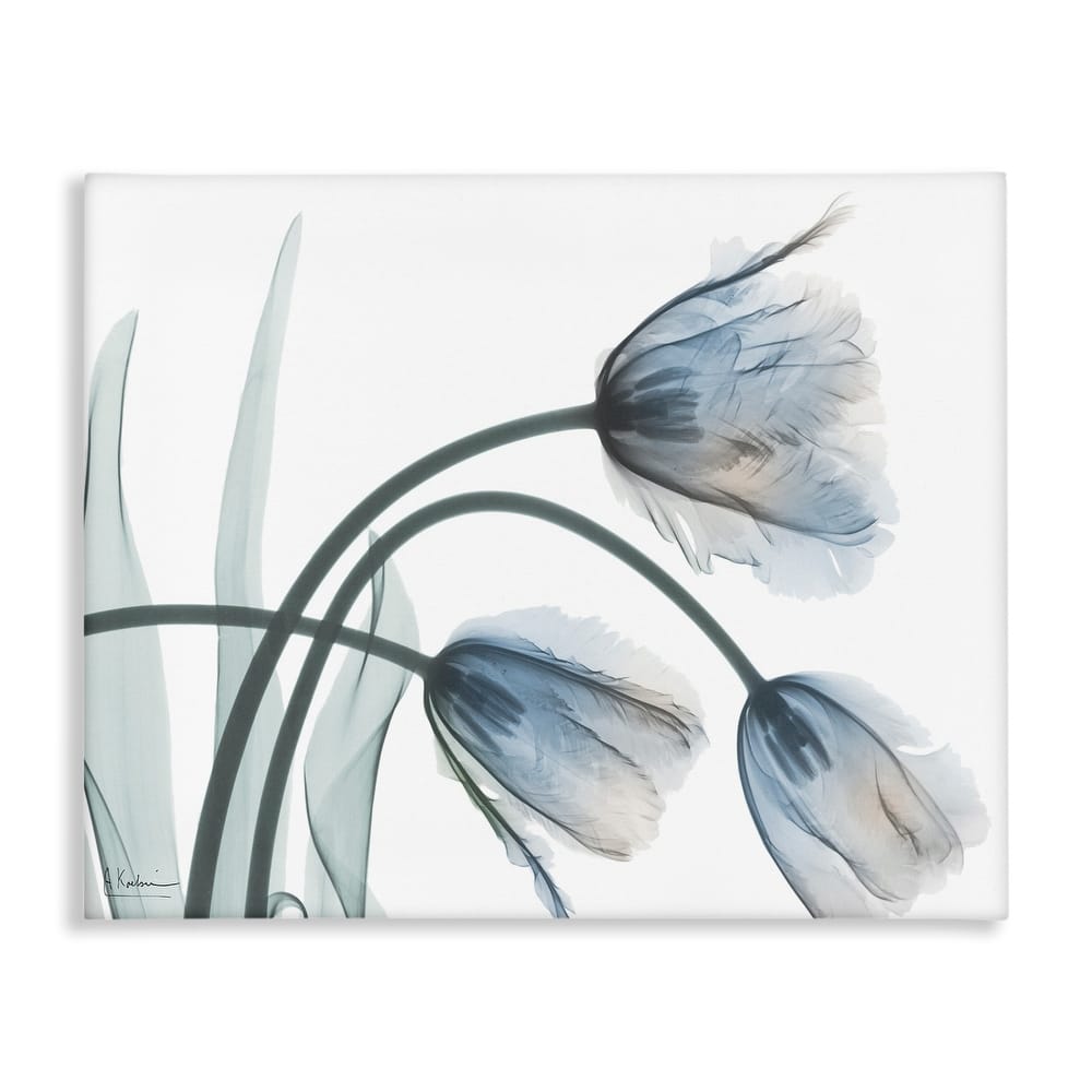 Stupell Trendy Mod Tulips Canvas Wall Art Design By Albert Koetsier