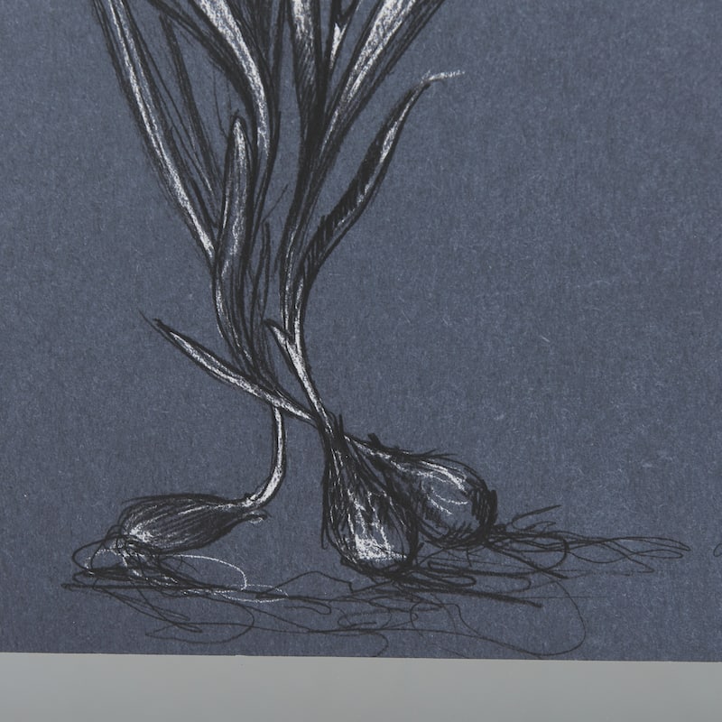 Botanical Sketches III (Blue) Framed Art Print