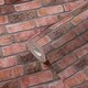 preview thumbnail 18 of 18, Galerie Wallcoverings Bricks and More Collection Brick Weathered Effect Matte Finish Vinyl on Non-woven Wallpaper Roll