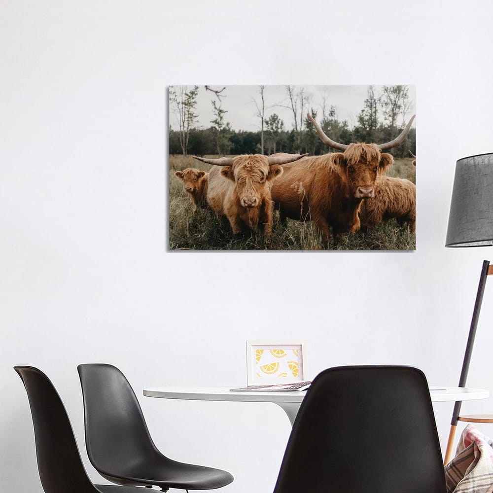 iCanvas "Highland Cow Herd" by Chelsea Victoria Canvas Print