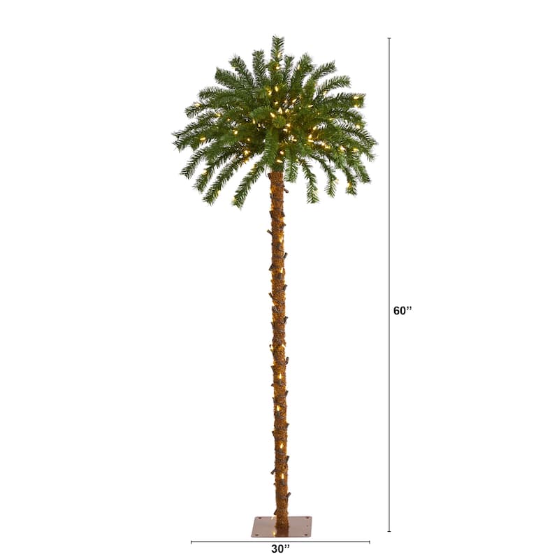 5’ Pre-Lit Palm Artificial Christmas Tree, Warm White LED Lights - 5 Foot