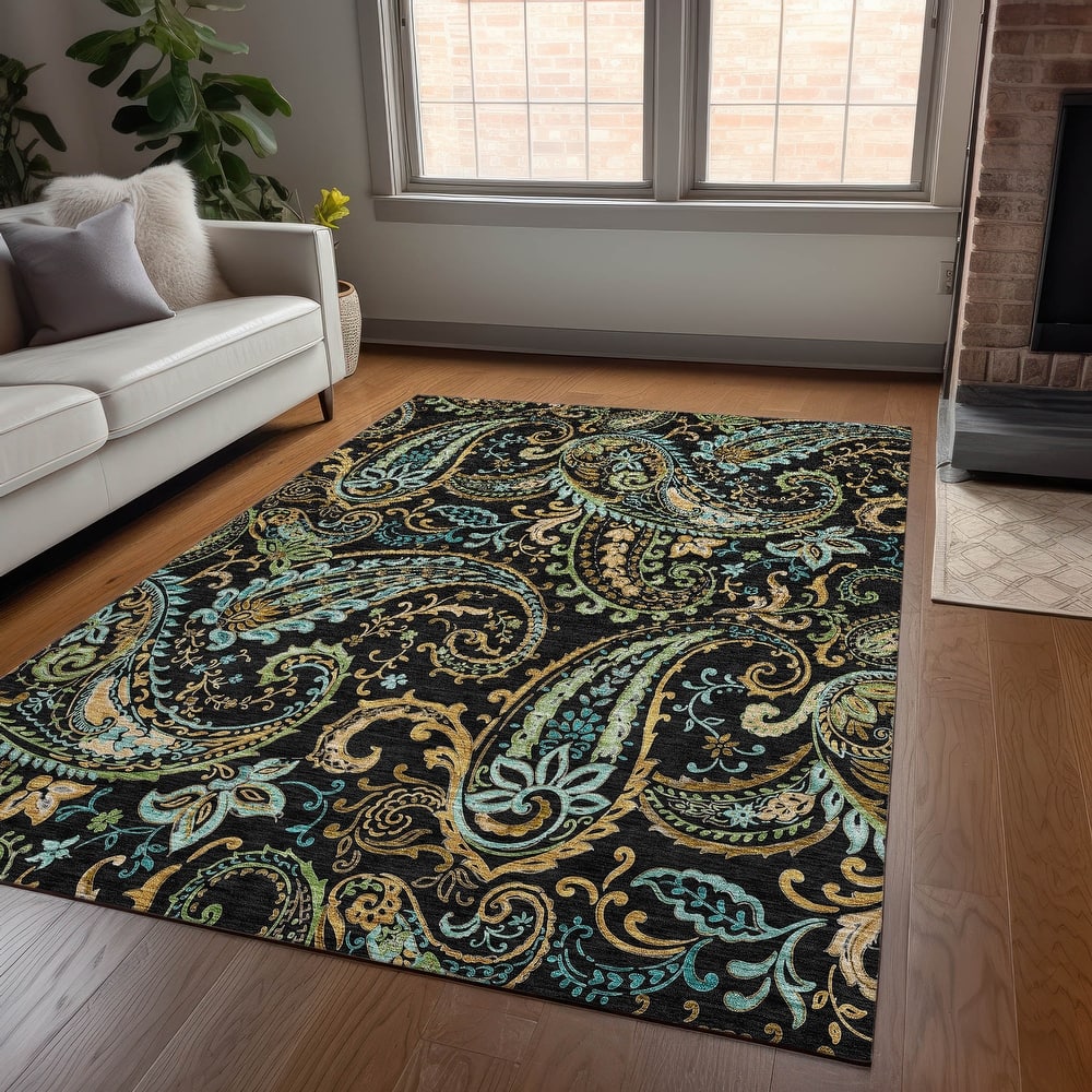 Machine Washable Indoor/ Outdoor Paisley Chantille Rug