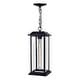 preview thumbnail 3 of 8, CWI Lighting Blackbridge 1 Light Black Outdoor Pendant