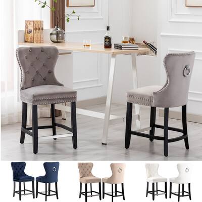 Carter 24" Wingback Tufted Nailhead Counter Stool (Set of 2)