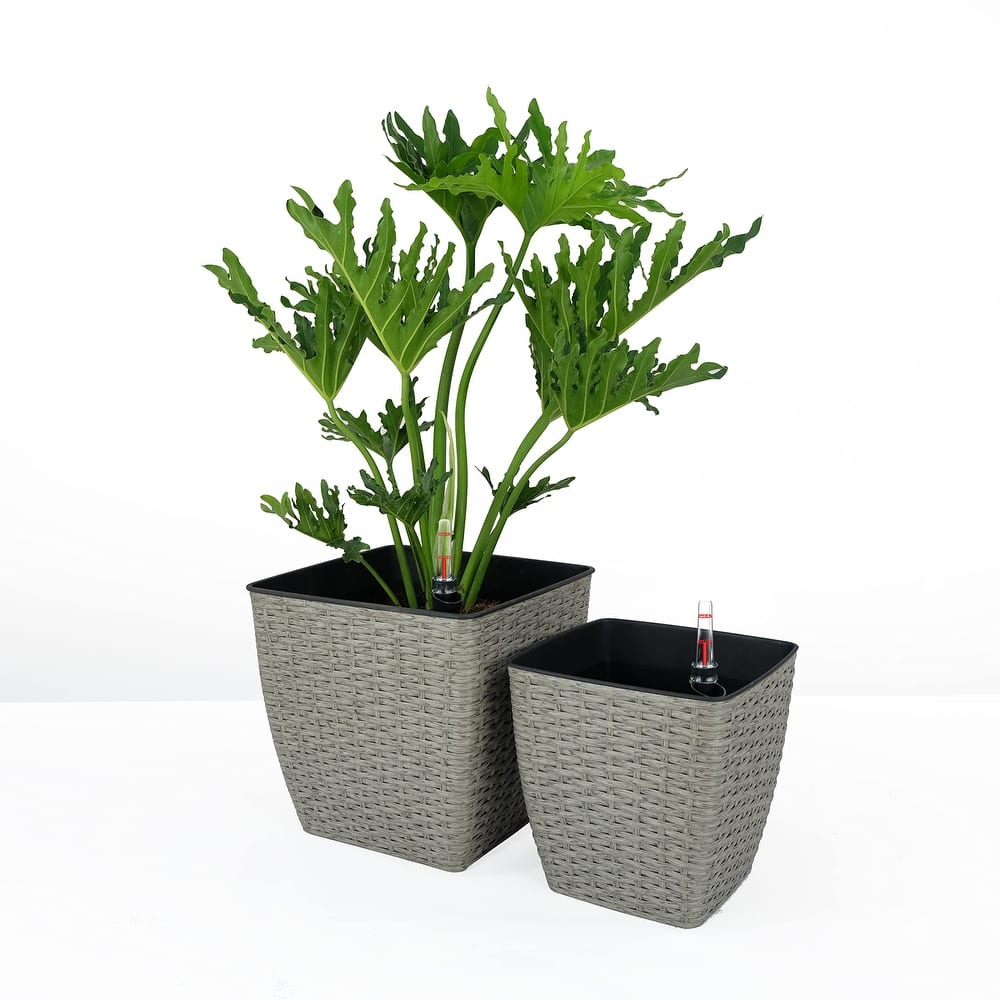 DTY Signature Square Wicker Planters