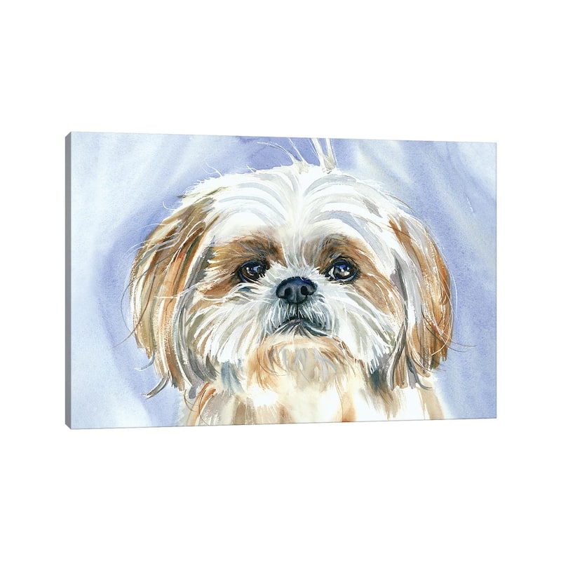 iCanvas "Garden Gnome - Shih Tzu" by Judith Stein Canvas Print