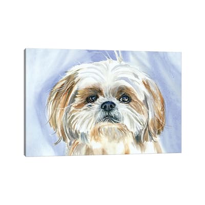 iCanvas "Garden Gnome - Shih Tzu" by Judith Stein Canvas Print