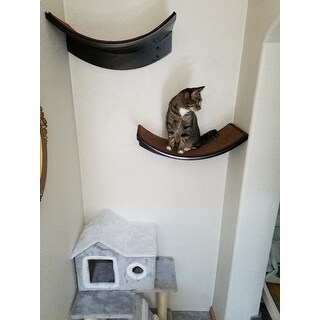 cleopatra leaf cat perch