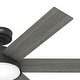 preview thumbnail 11 of 17, Hunter 52" Donatella Ceiling Fan with LED Light Kit and Handheld Remote - Transitional, Mid-Century, Modern