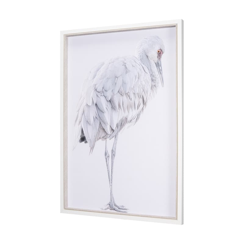 Sandhill Crane II