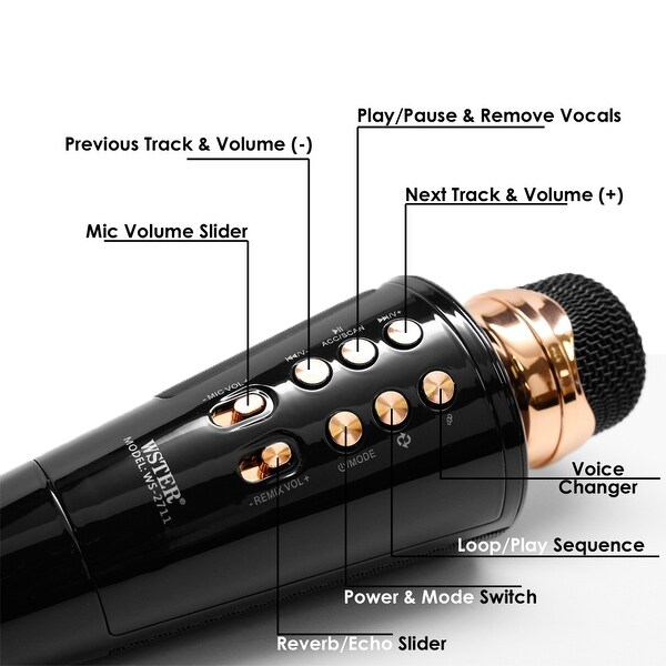 karaoke microphone and speaker