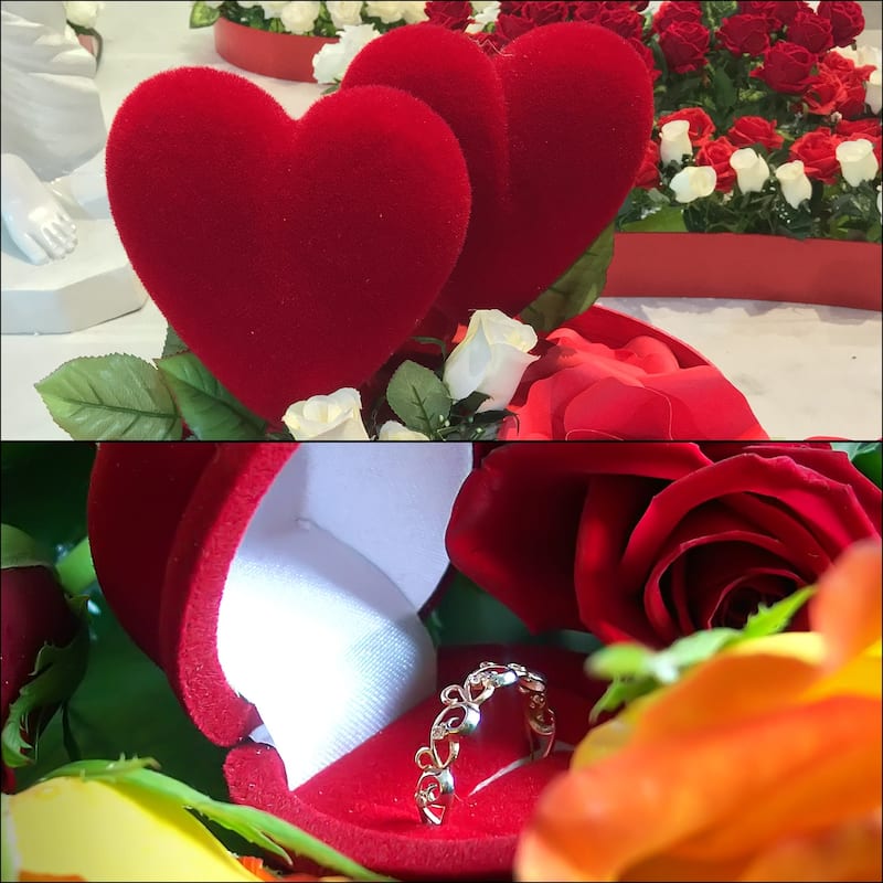 Ring Box Romantic Engagement Ring Box Jewellery Storage