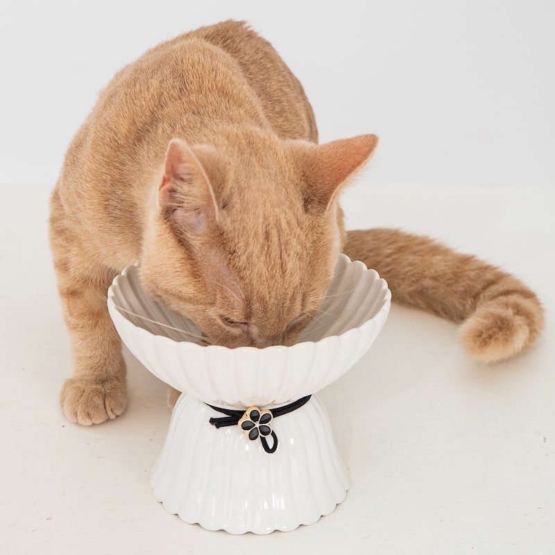 Dexypaws: Elevated Ceramic Bowl For Cats - White & Black Flower 8.45oz Capacity - White/Black