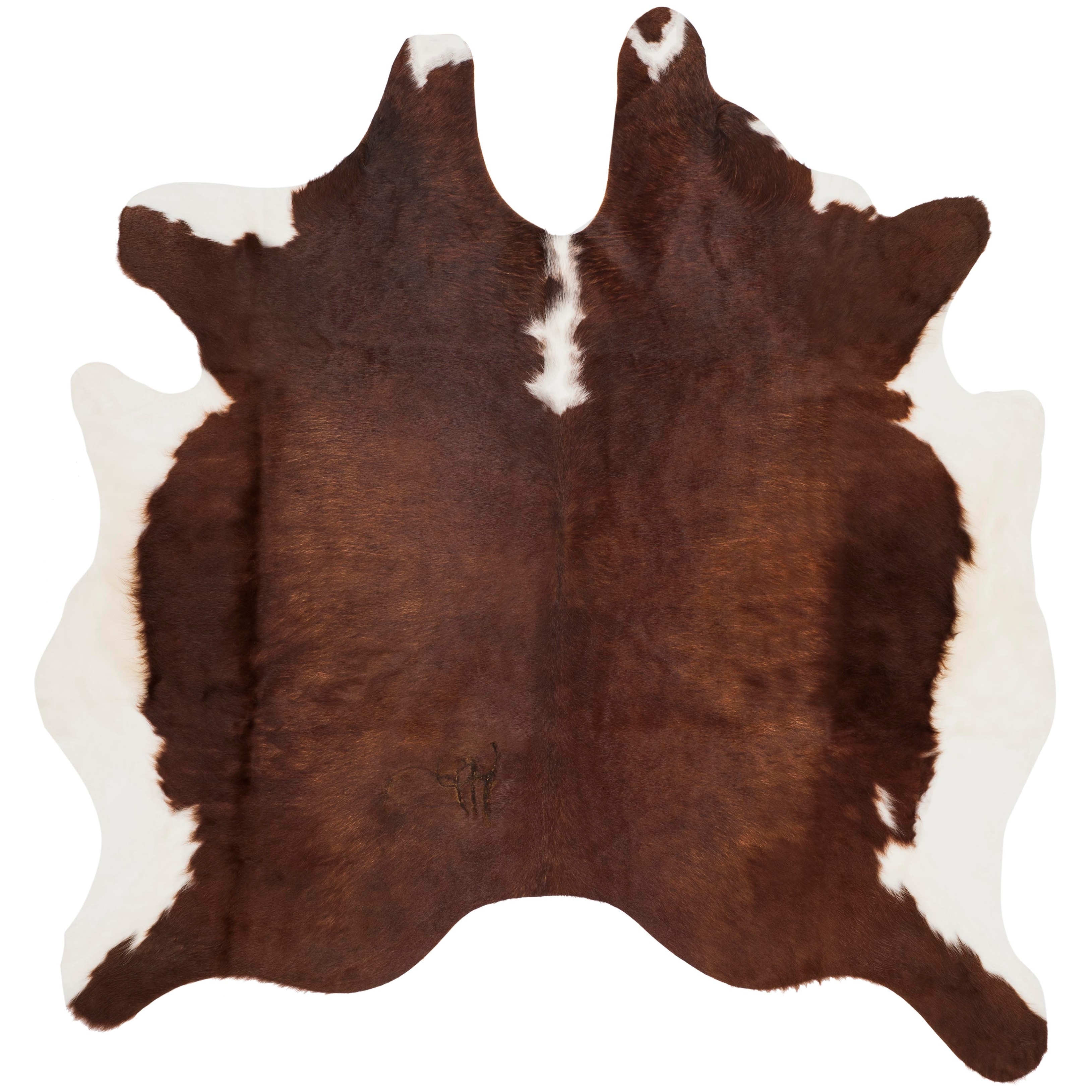 Safavieh Handmade Cow Hide Lorean Cabin Lodge Leather Rug On Sale Overstock 6128508