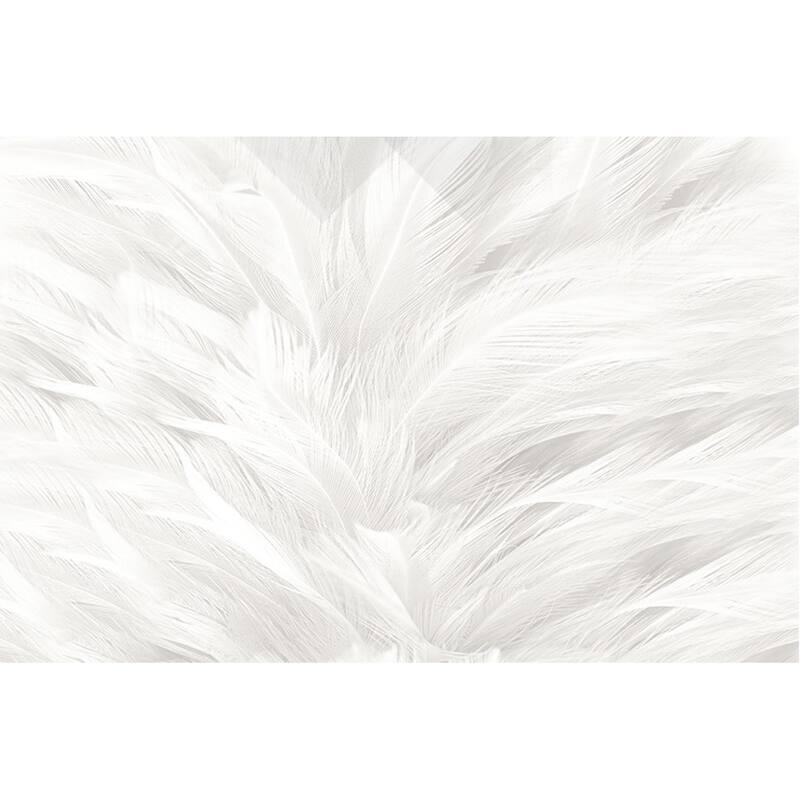 GK Wall Design Monochrome Scandinavian Abstraction Feather Wallpaper